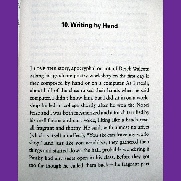 Book: The Book of Delights, Essays by Ross Gay - Picture 12 of 14